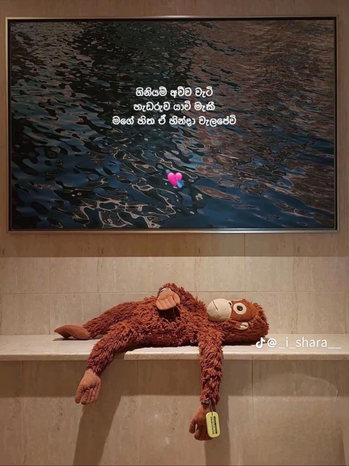 @𝐄𝐗_𝐂𝐇𝐔𝐓𝐈🌾💋ᥫᩣ