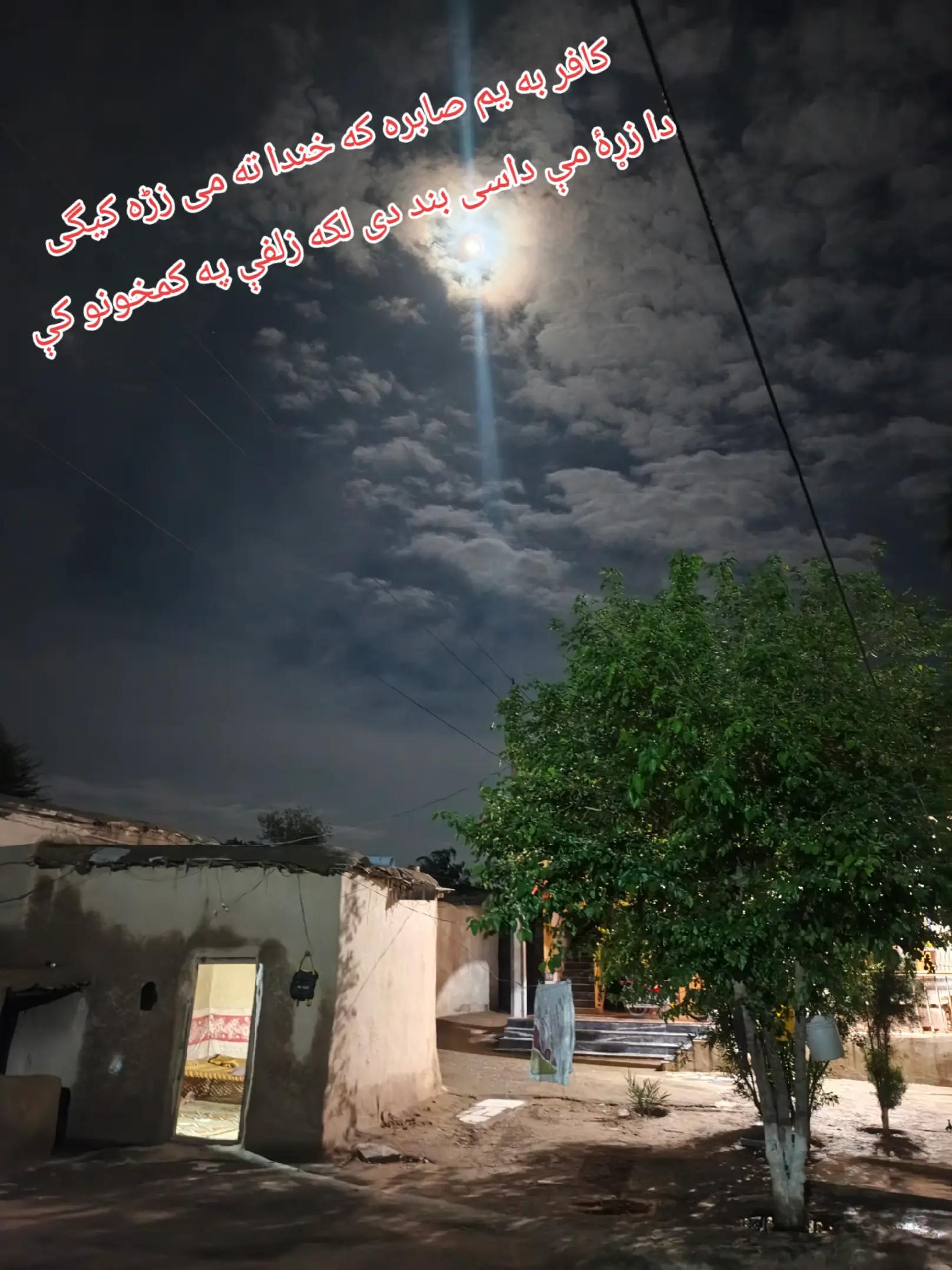 @Wasi_Mohmand
