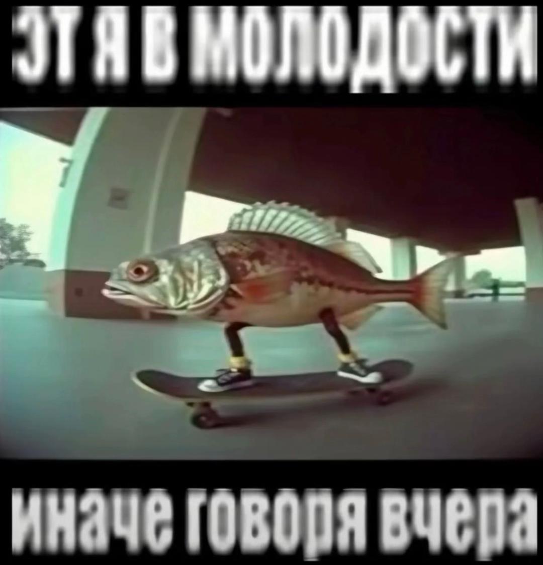 @13бешеный малый37