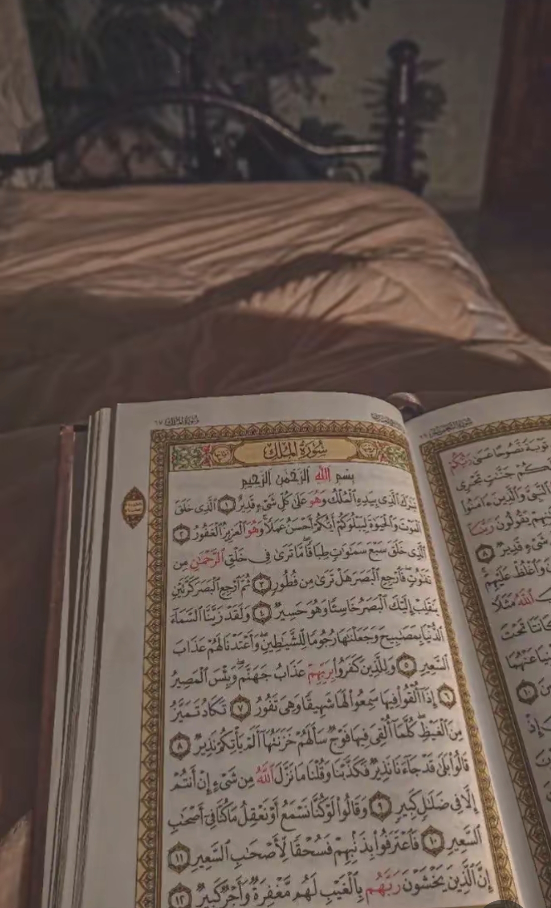 @💖Butt Jee💖