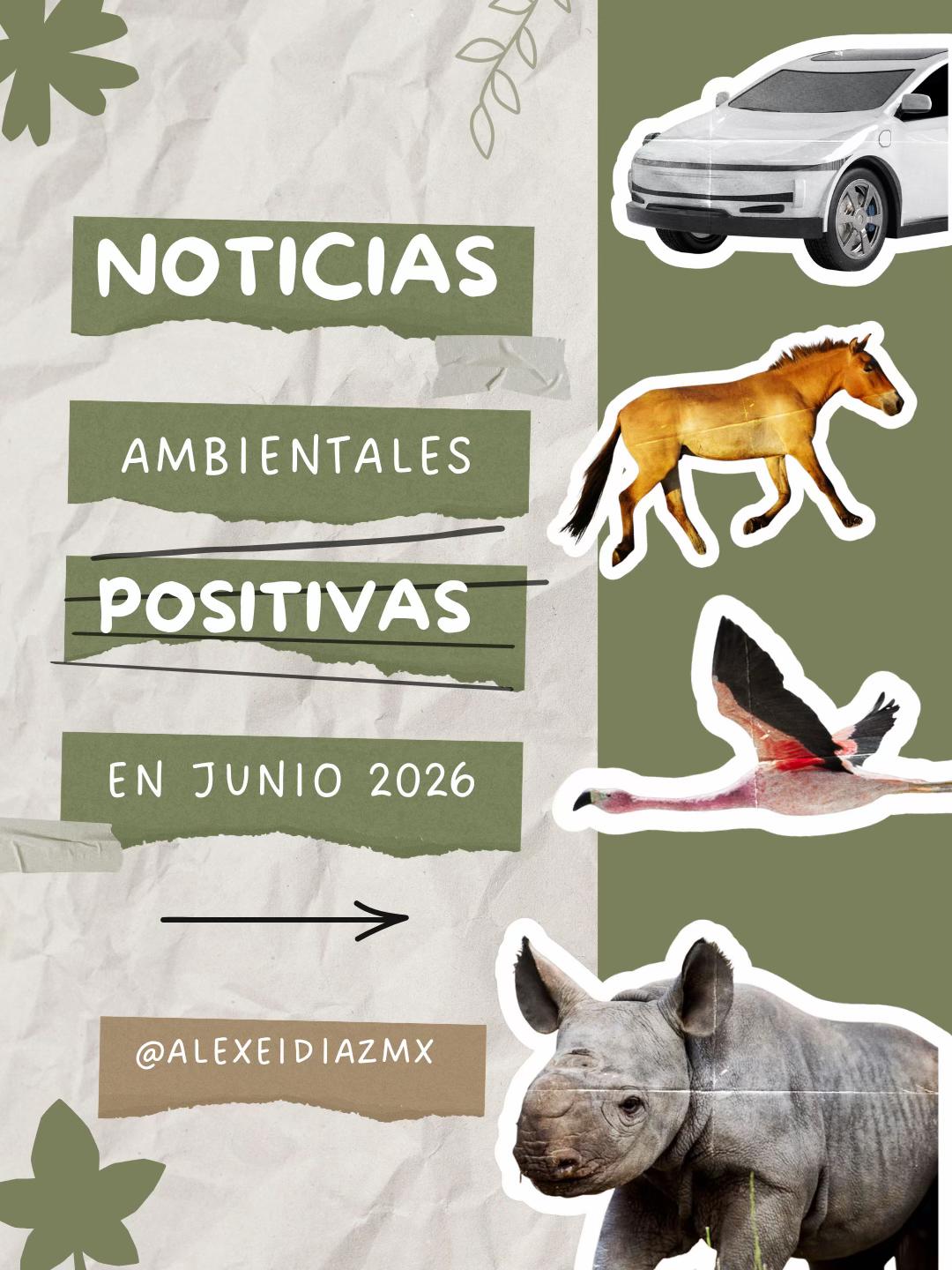 @AlexeiDiaz