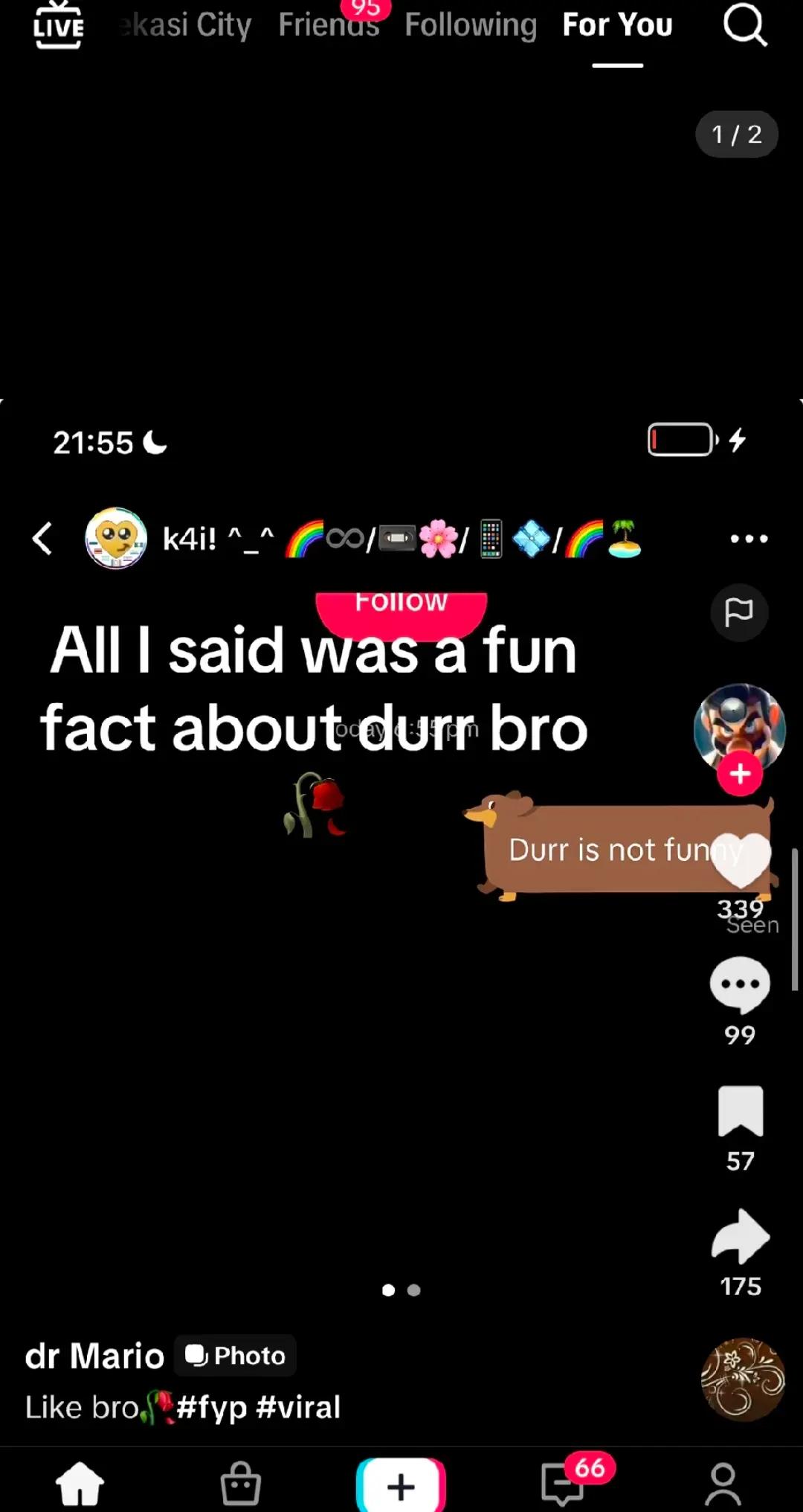 @ybg figglehorn