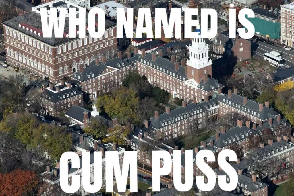 @pusto816