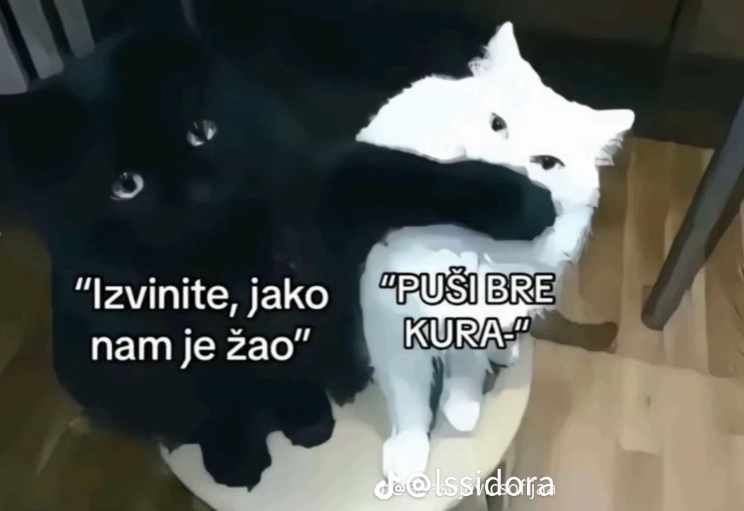 @Aleksandra