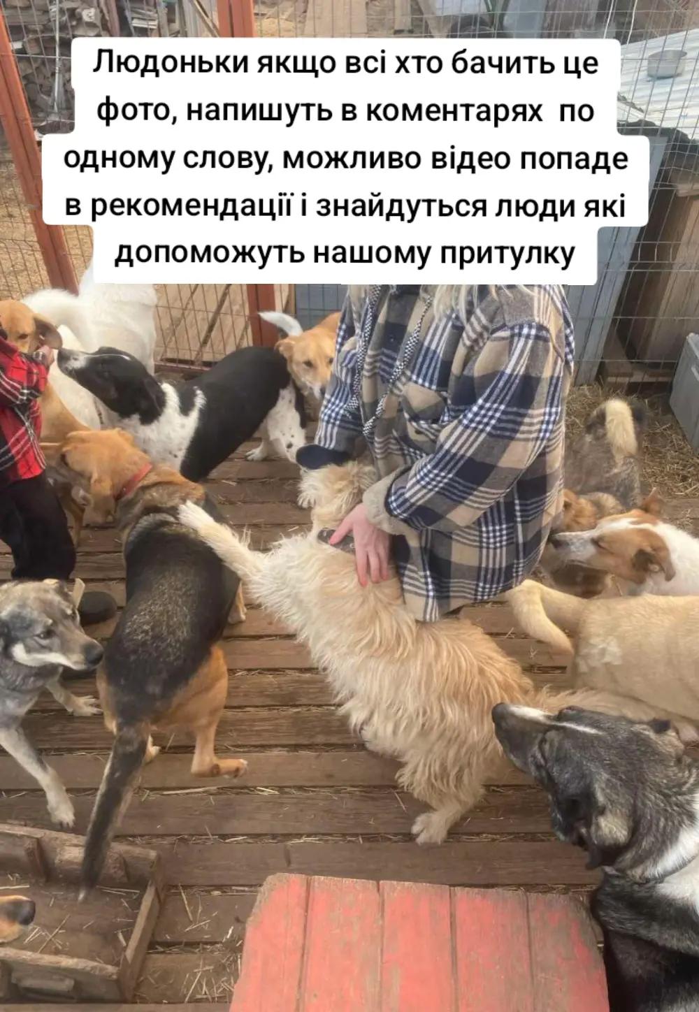 @tvarinkidobra