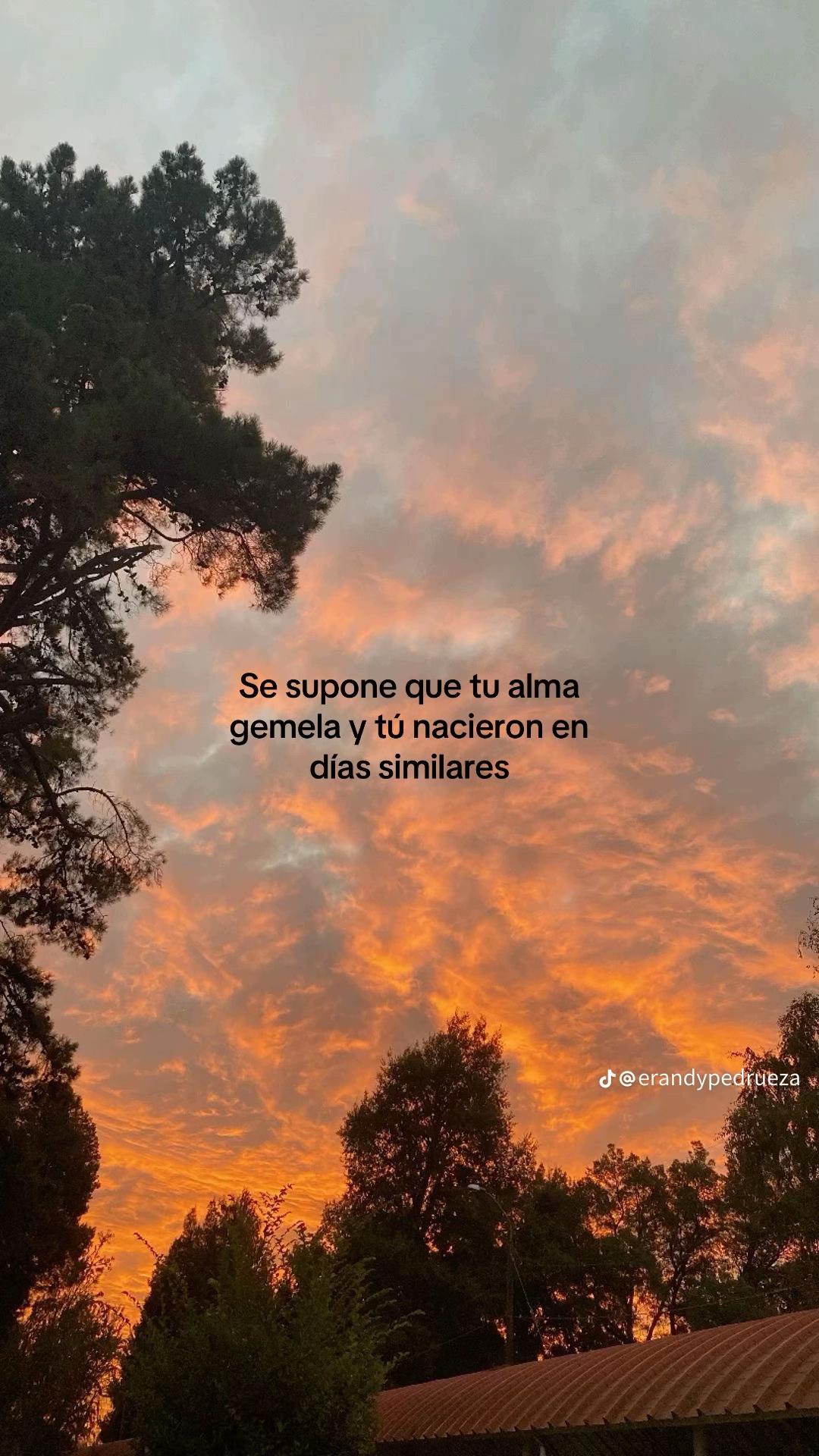 @Jaquisieras🌺