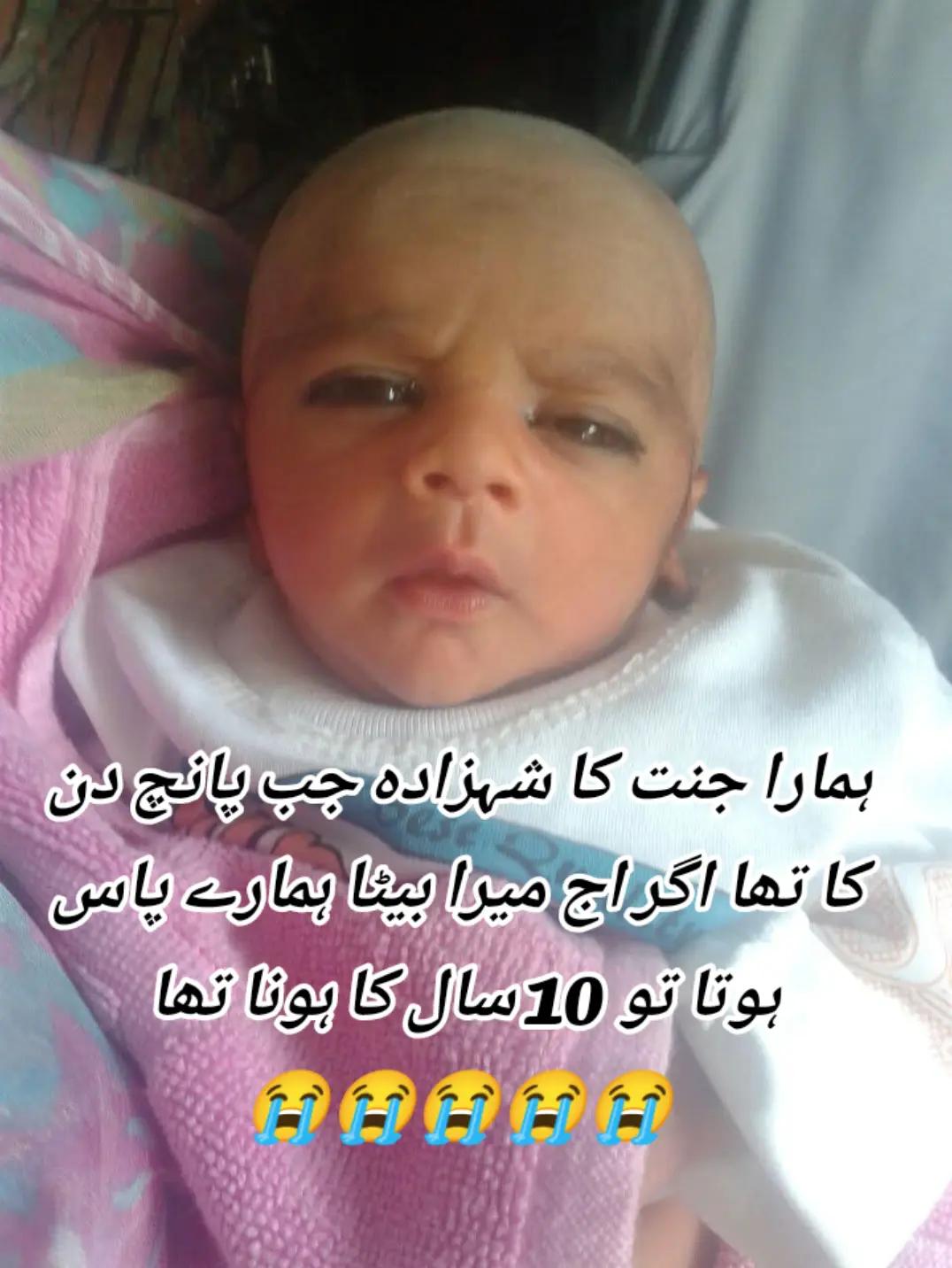 @Mohammad ayaan🌹❤️