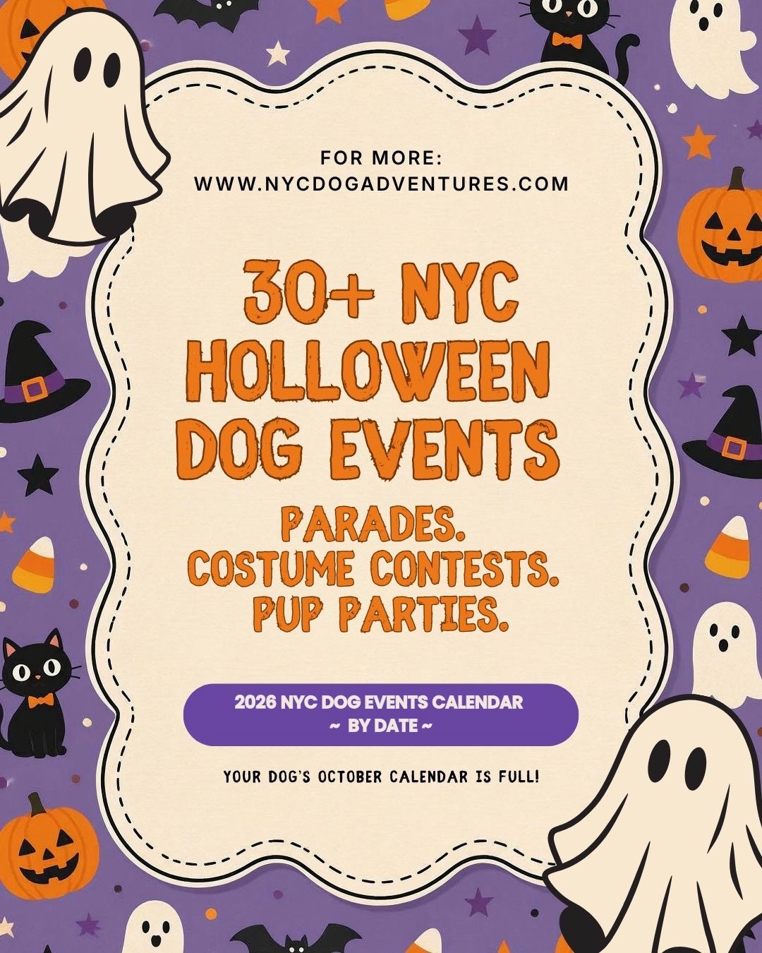 @nycdogadventures