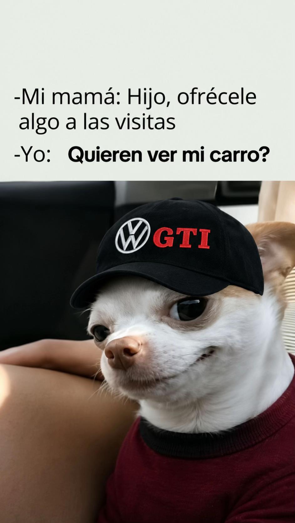 @Amirlptz