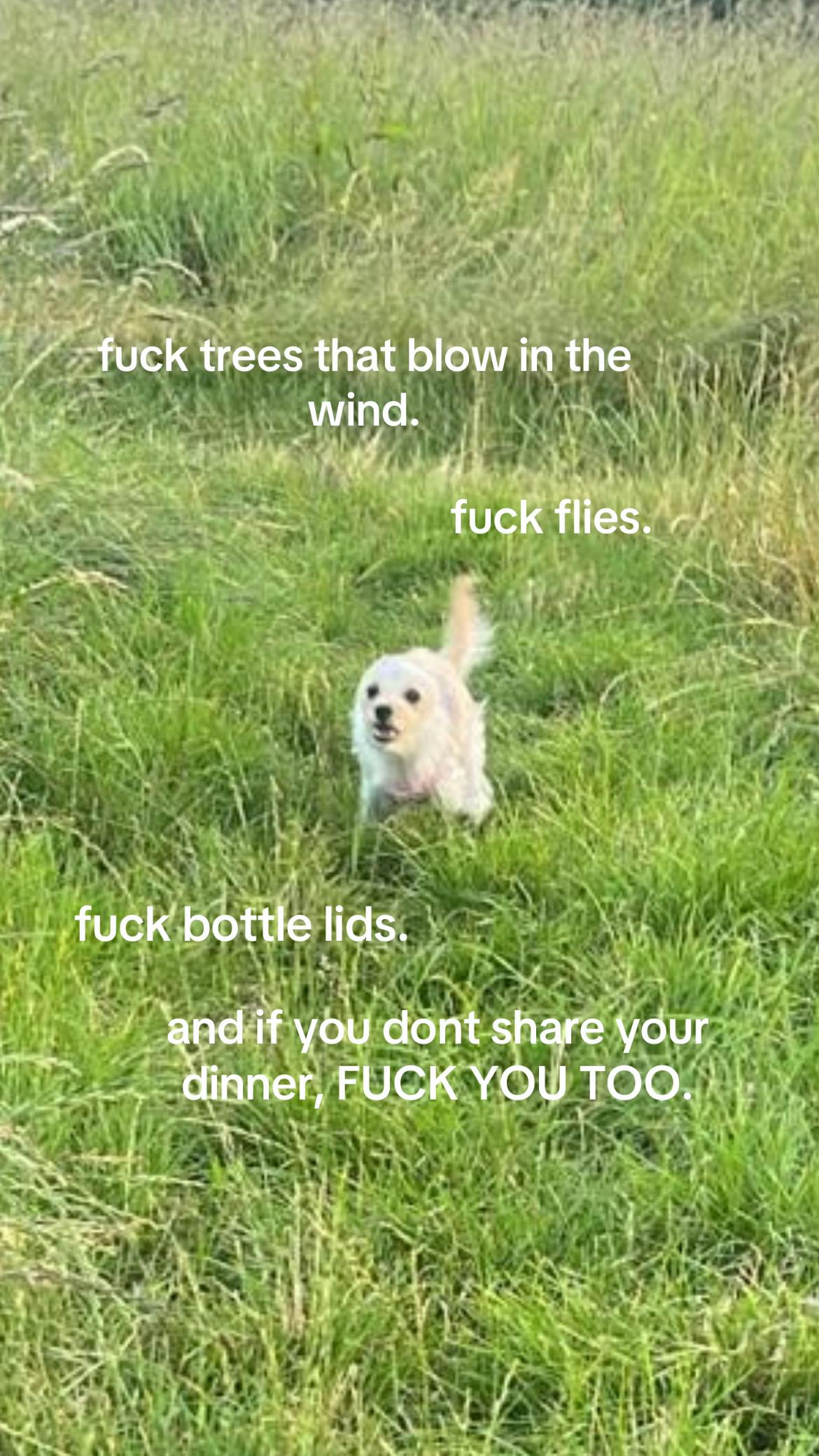 @SilverBanshee