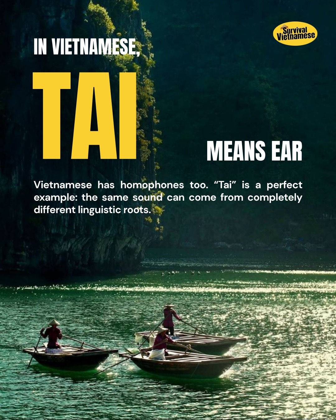 @survival.vietnamese