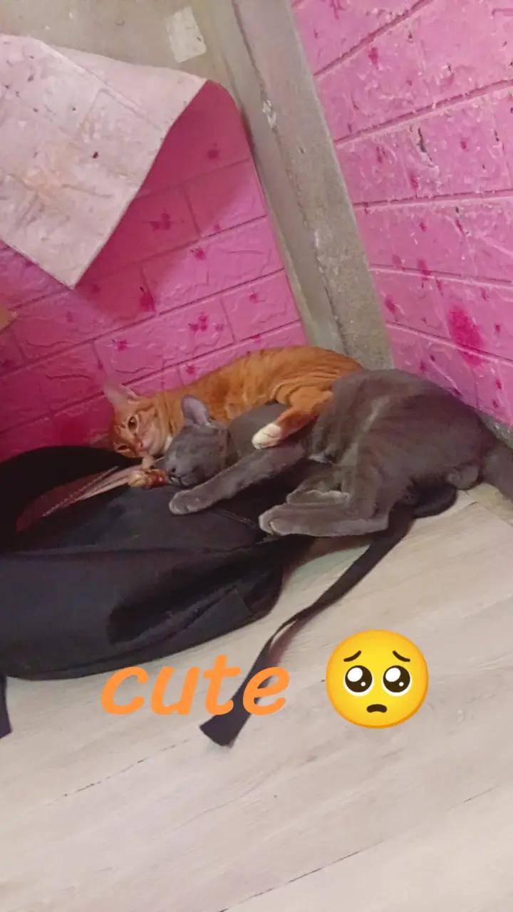 @โนลิ โนลิ โนลิ😴