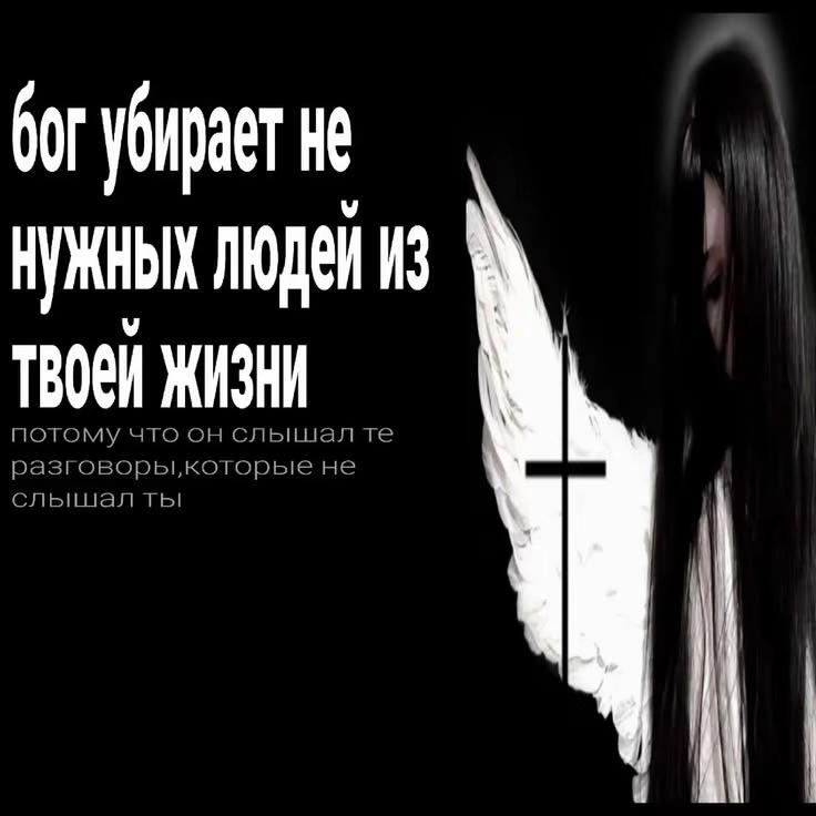 @Прошка67🐈⬛🪽