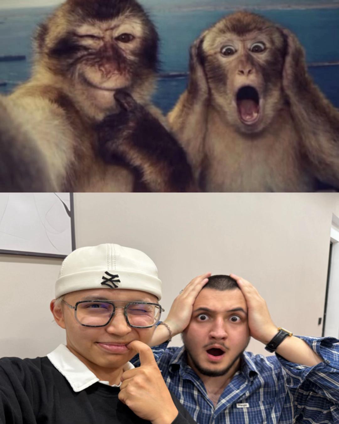 @Daniyar Taipov🐣