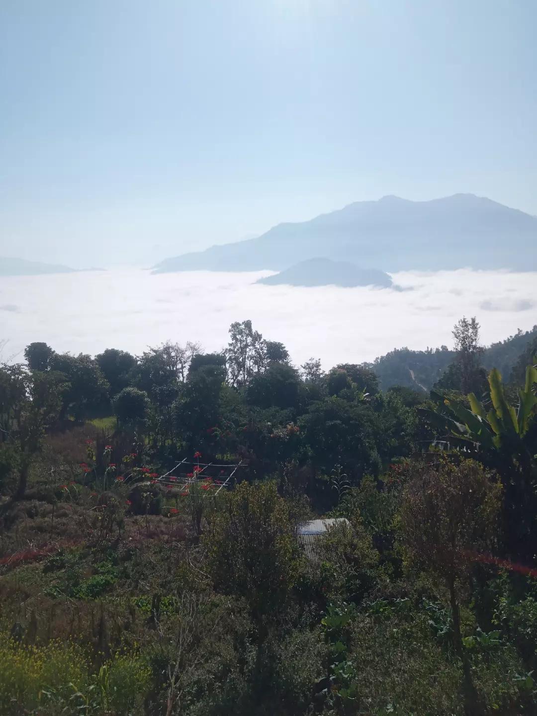 @Raj Gopali ❤️