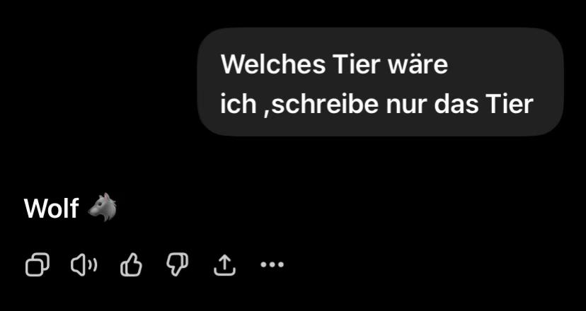 @Shirkan 🥷🏽🇩🇪