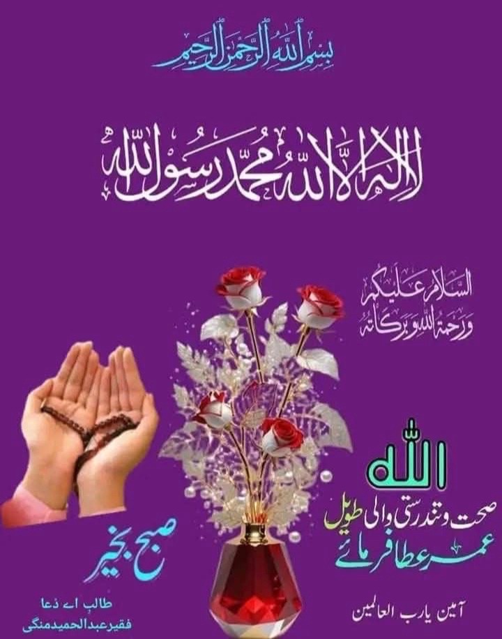 @user9116008158843