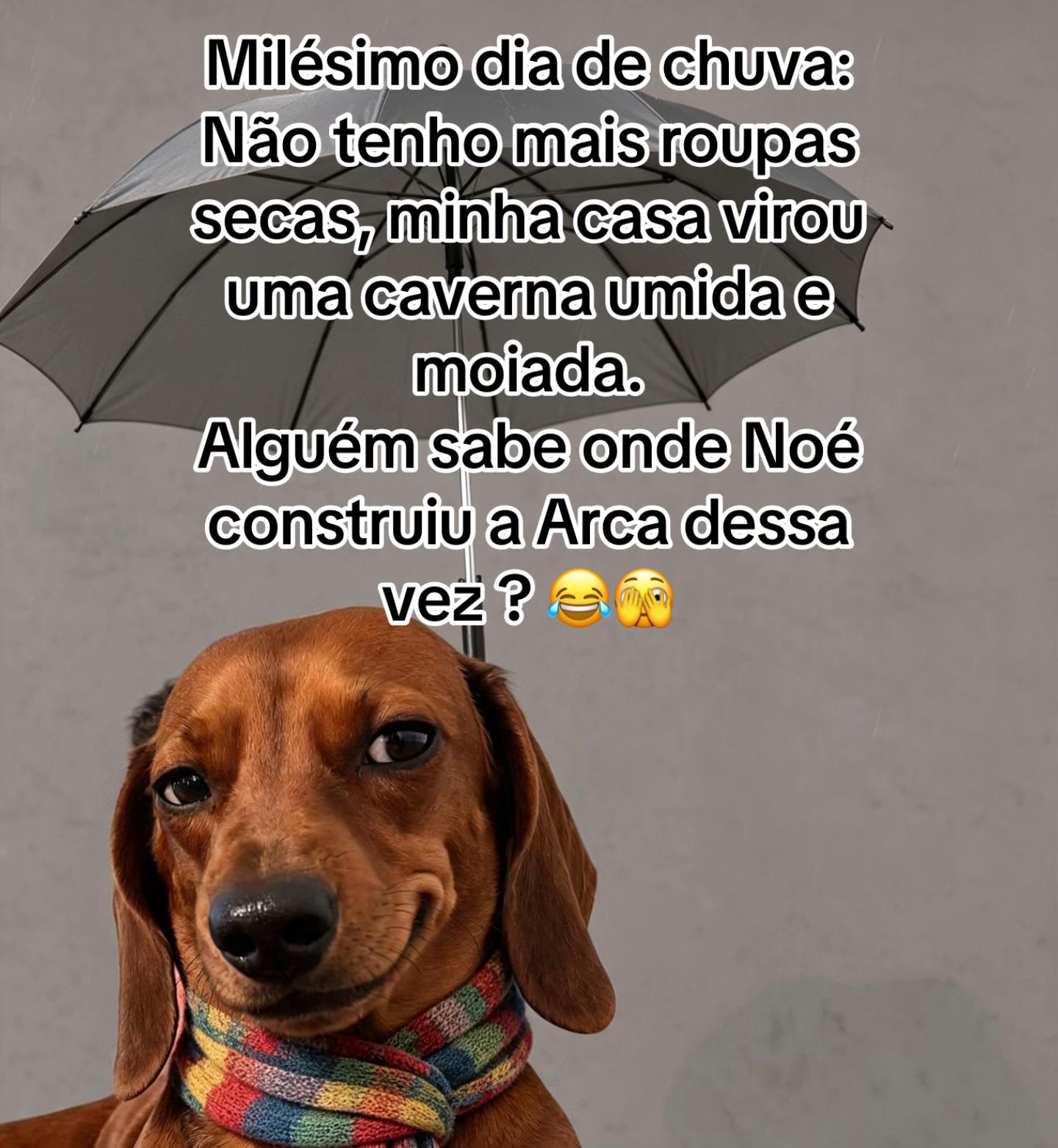 @Paula Vitti
