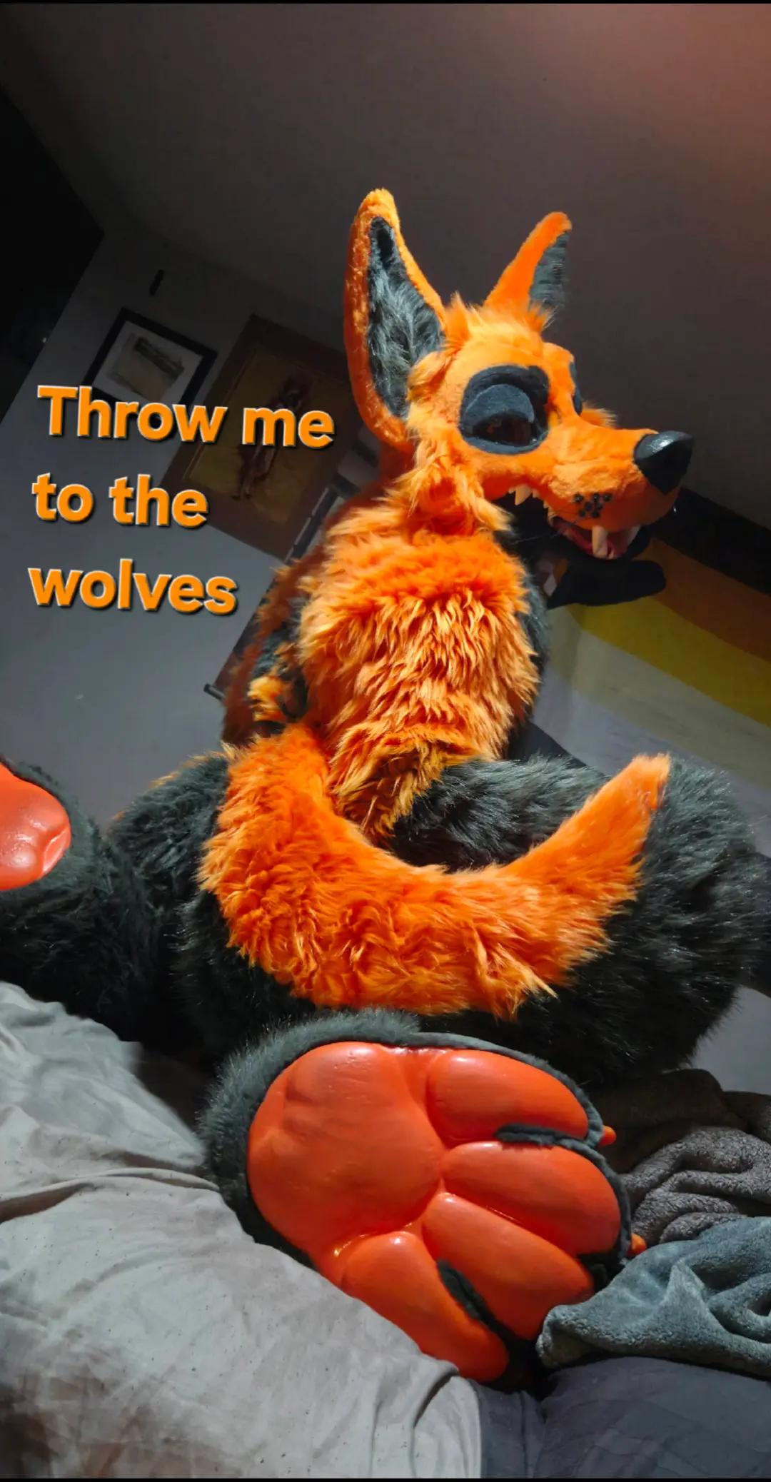 @Grease Wolf