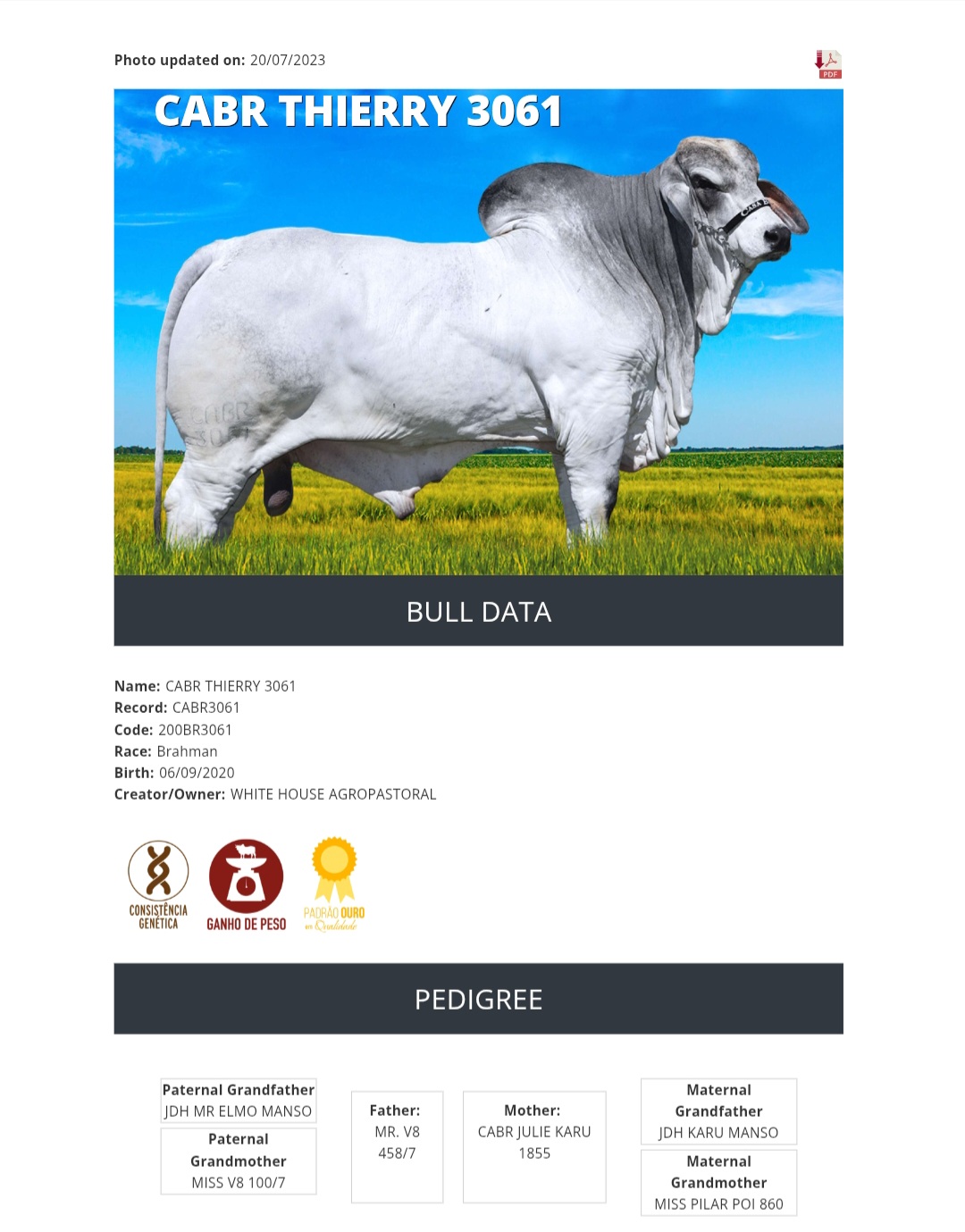 @SEMEX