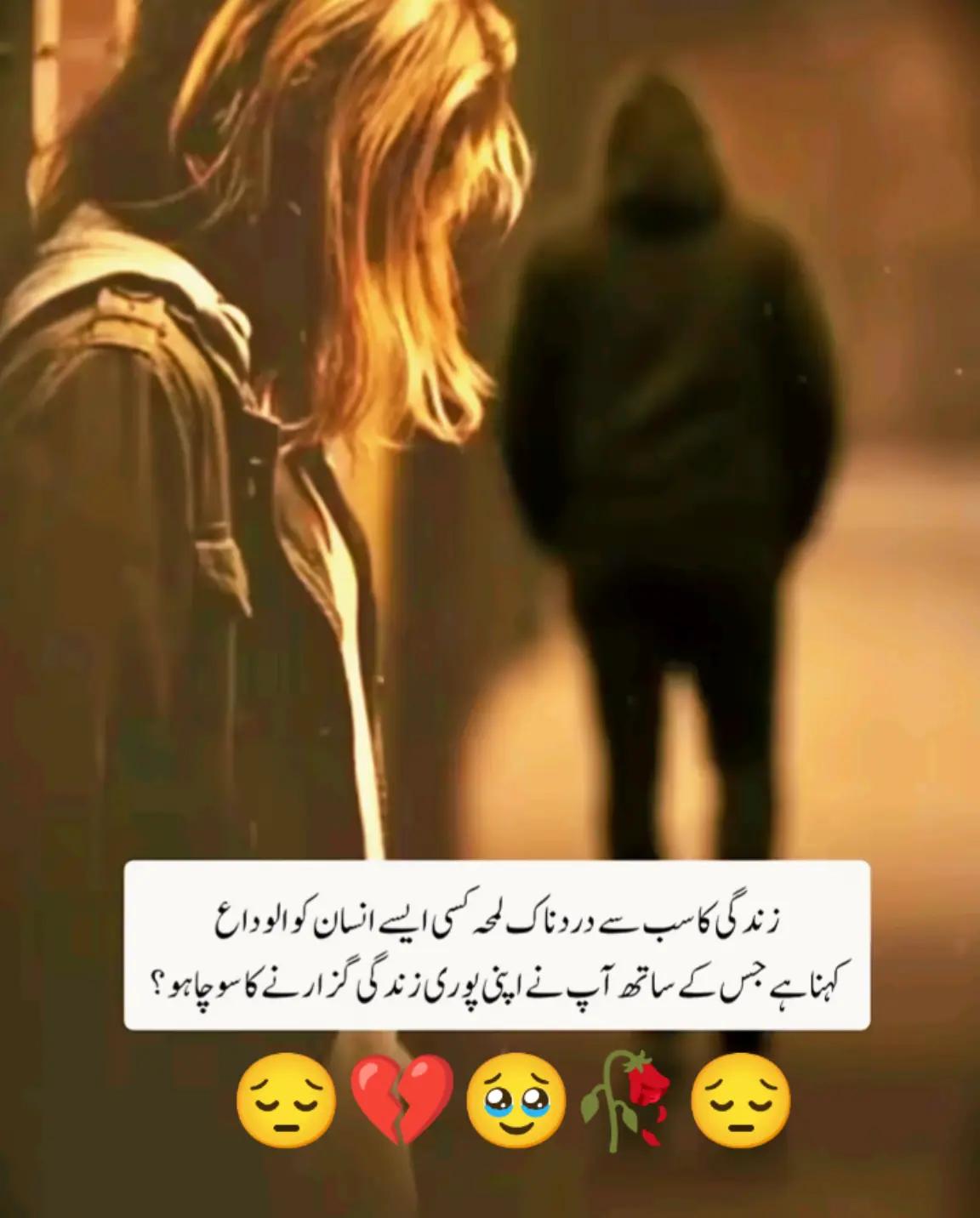 @Hassan Hussain💞