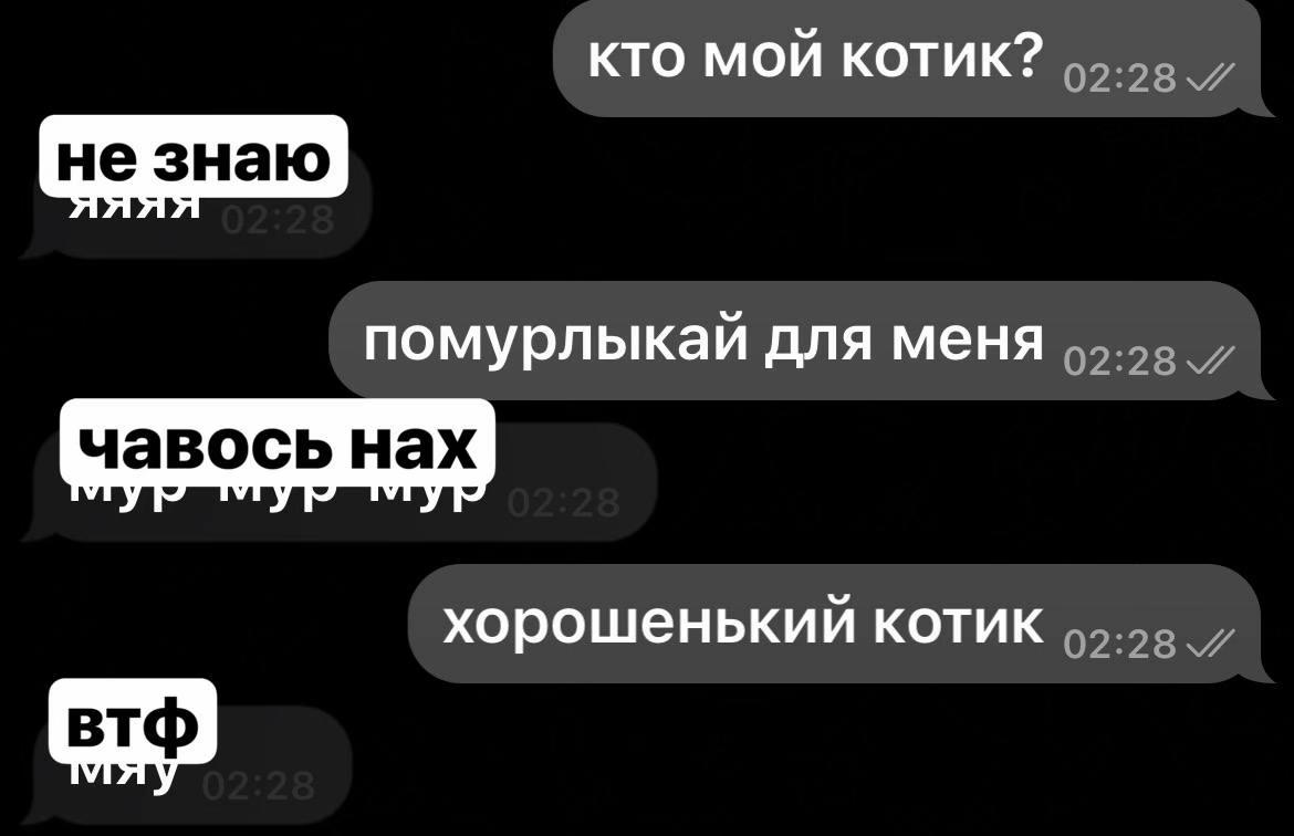 @zxcdetsuhaa