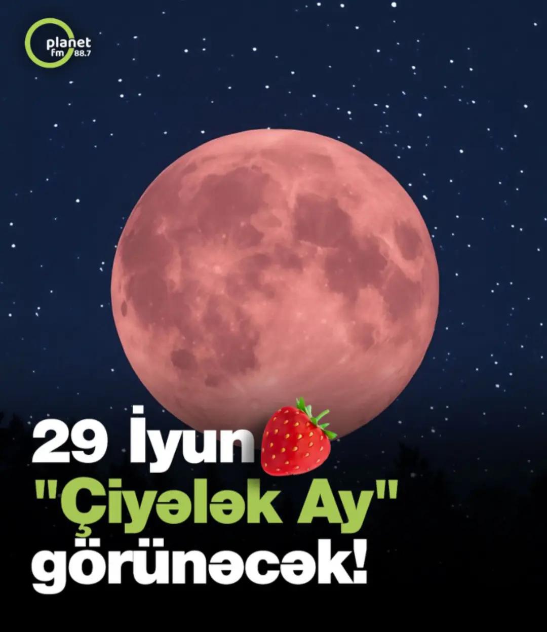@Linda💚