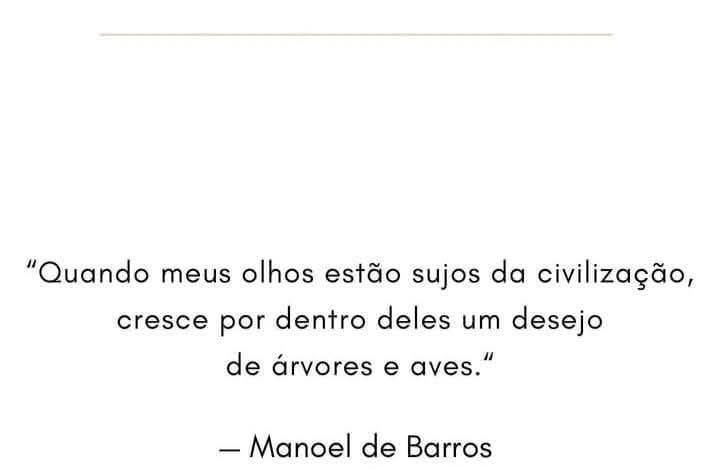 @Dr Vinícius Ribeiro