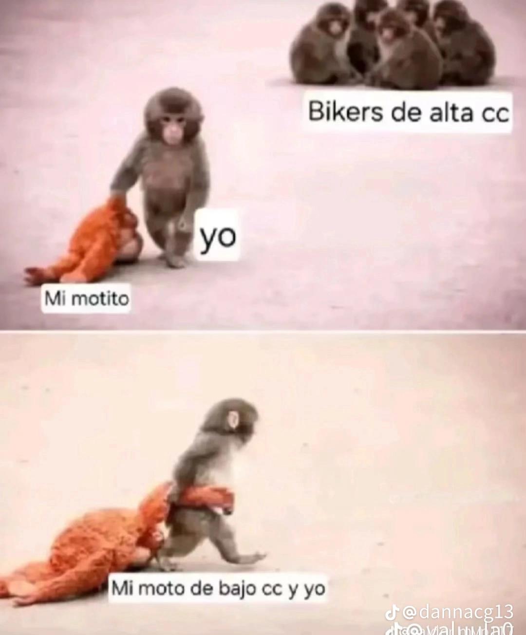 @Amitzin Salazar