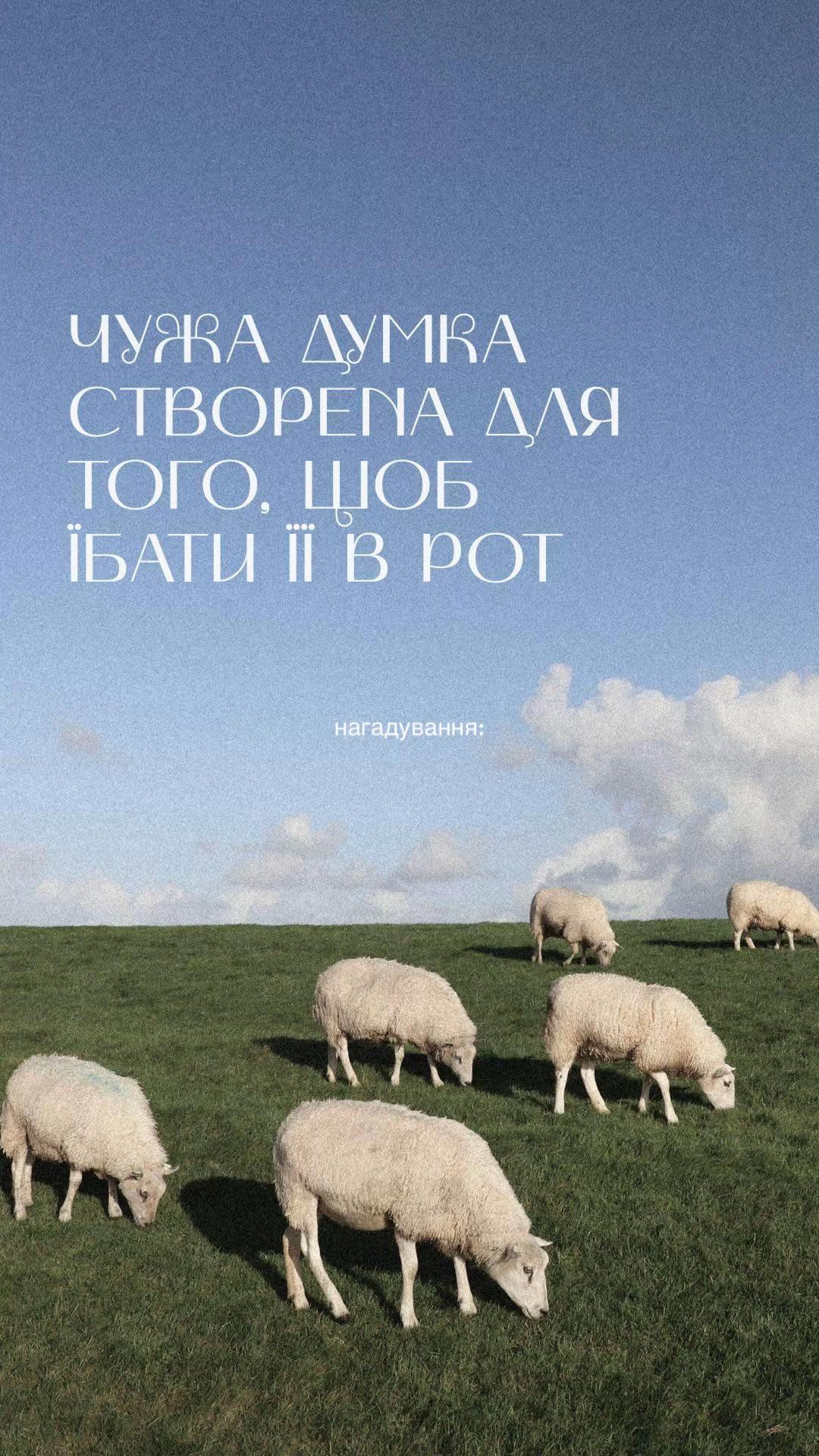 @🫆