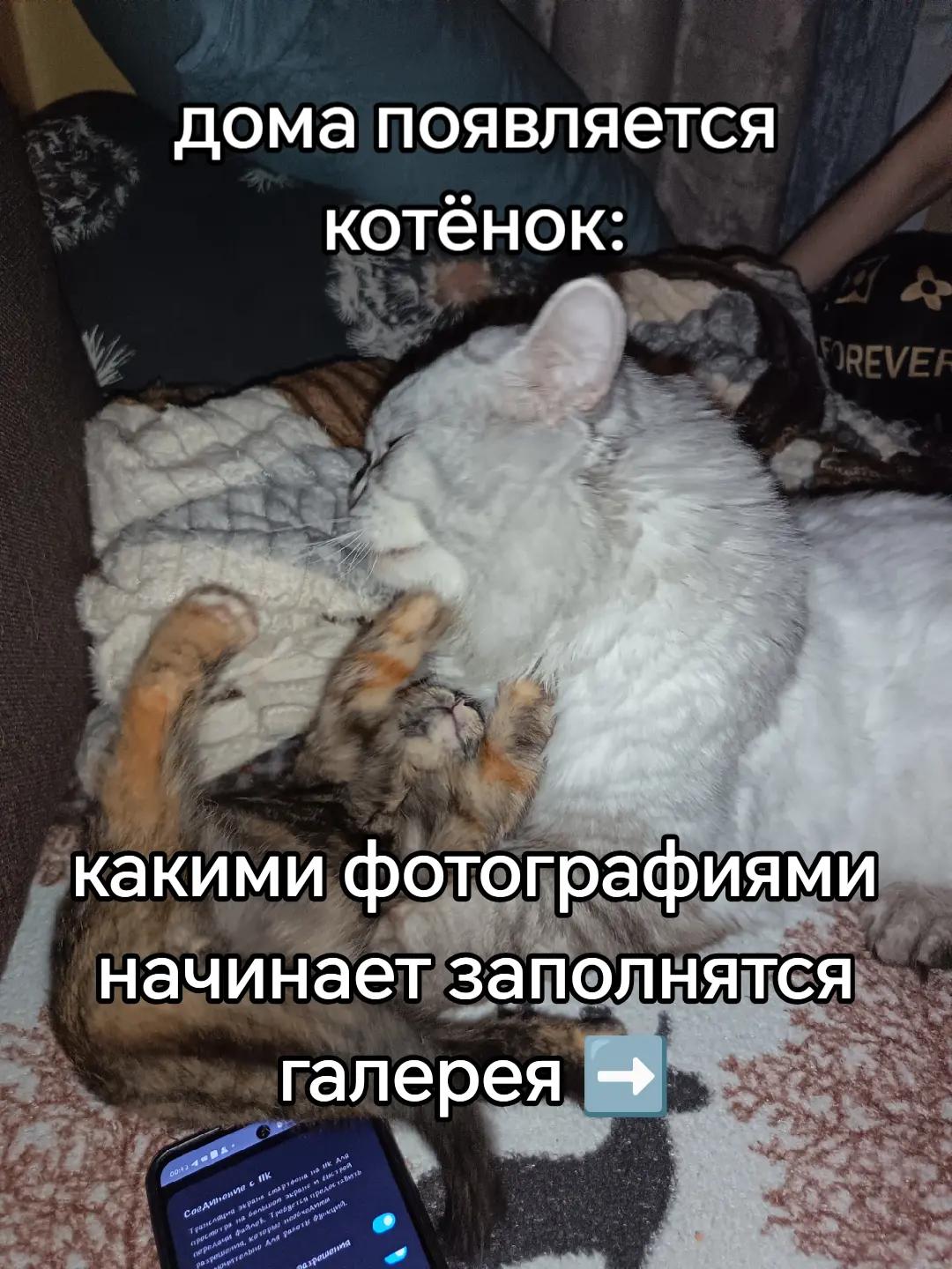 @KoloBok