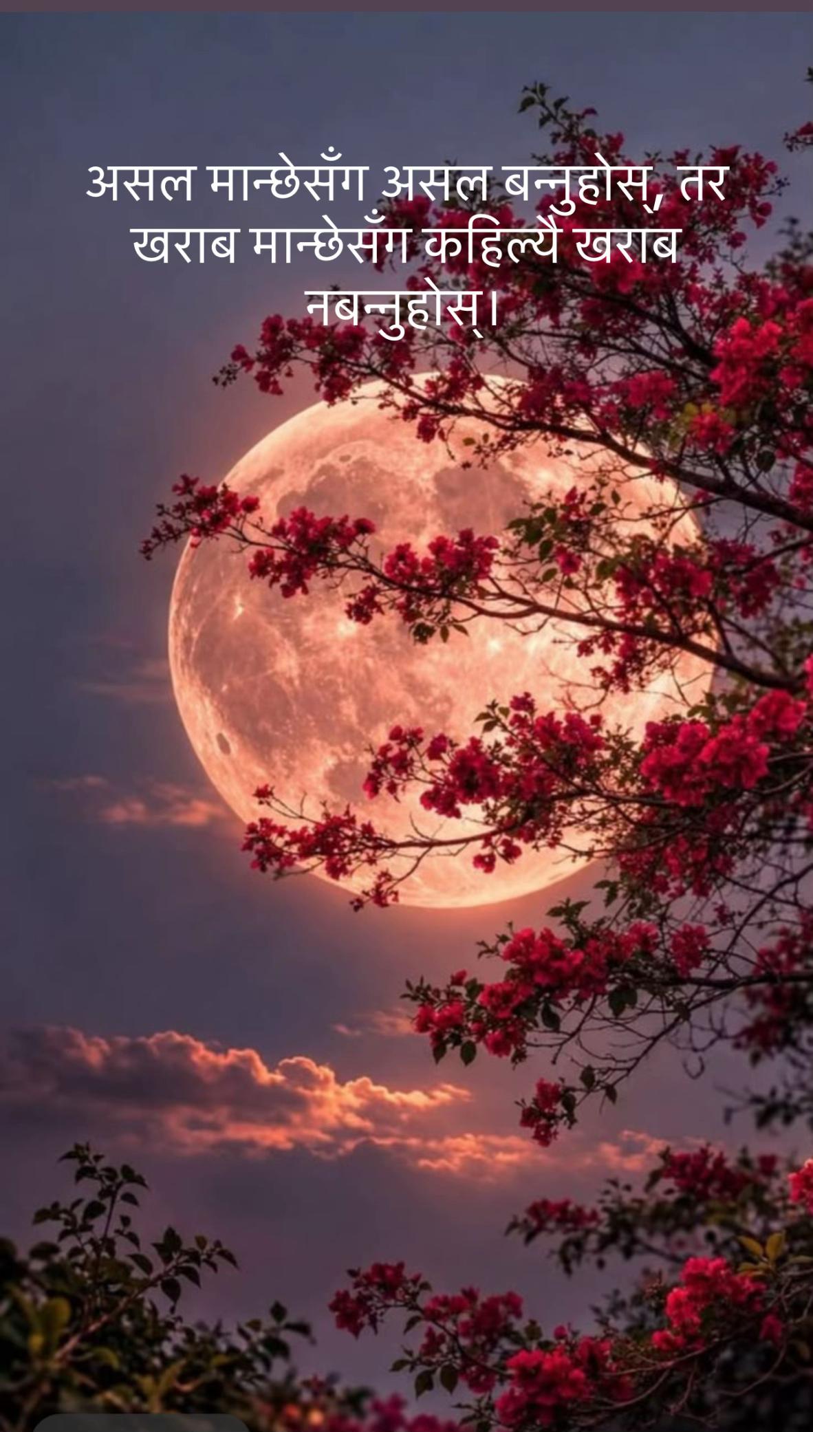 @Kabitagautamthapa3