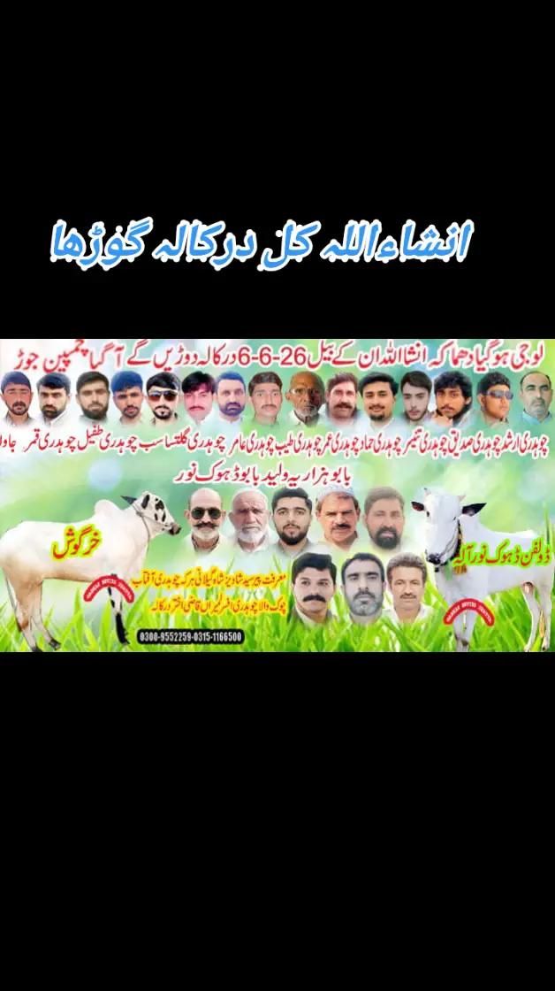@چوہدری حماد