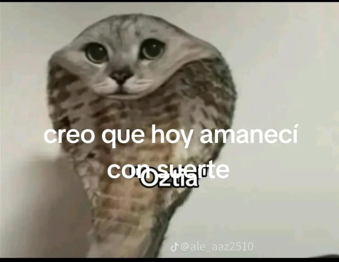 @Alex_DBL