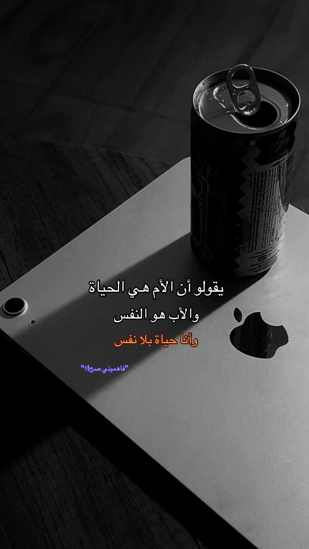 @𝑃𝑎𝑛𝑑𝑎𝟷𝟷:𝟷𝟷🐼🫆