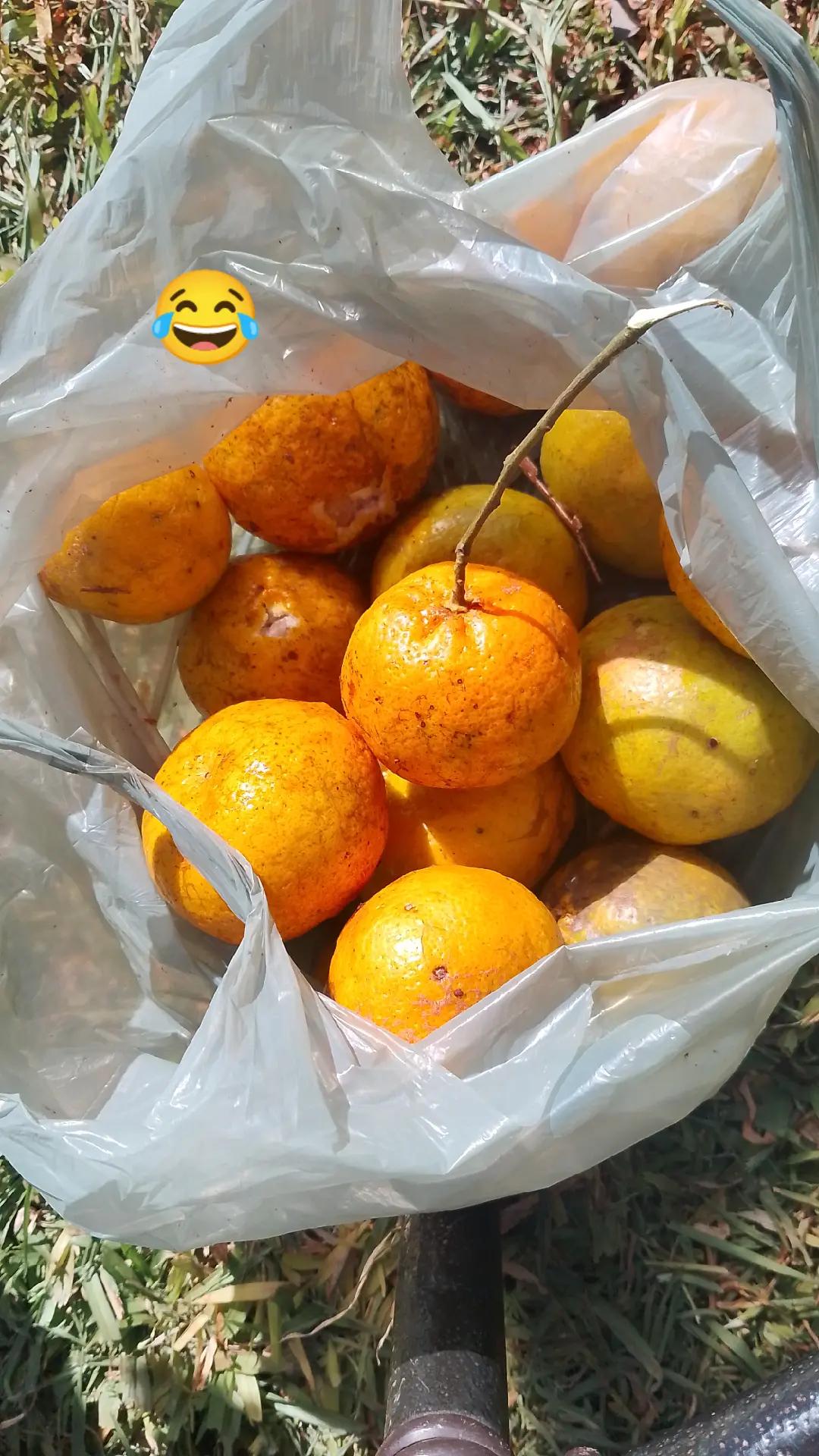 @๐๐งธ๐๐บโ๐ฑ๐