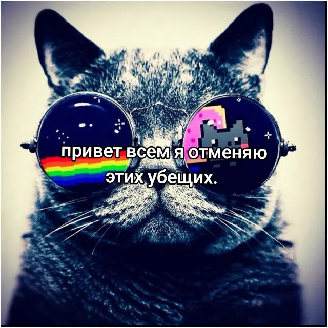 @bloodycheese (i love my cat)