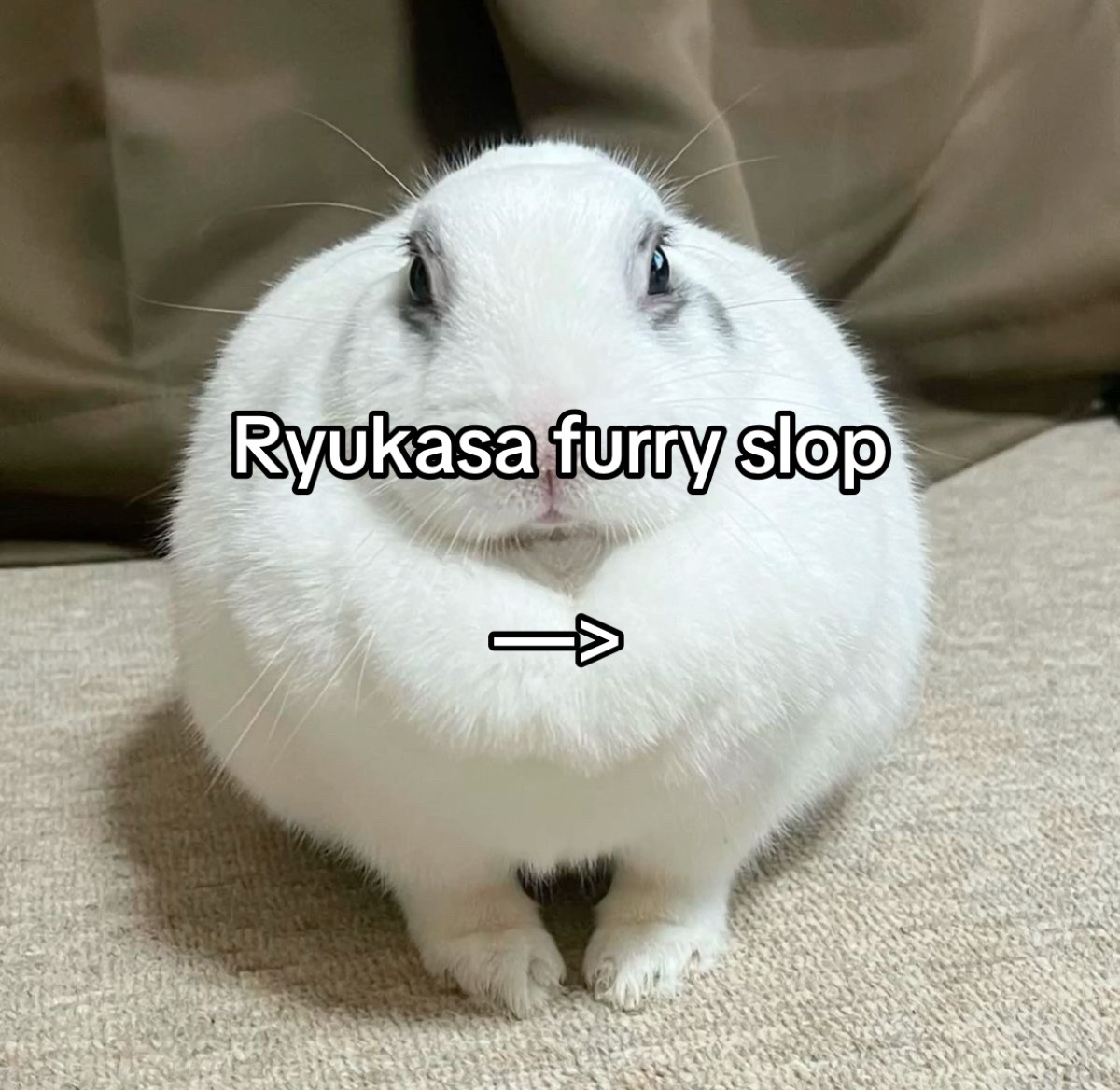 @Chalkyishere