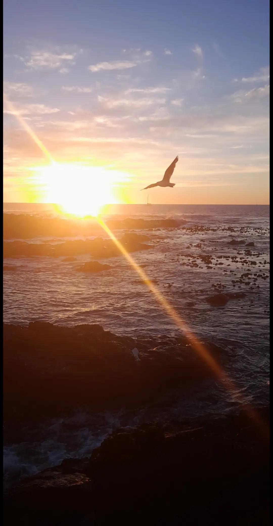 @cch