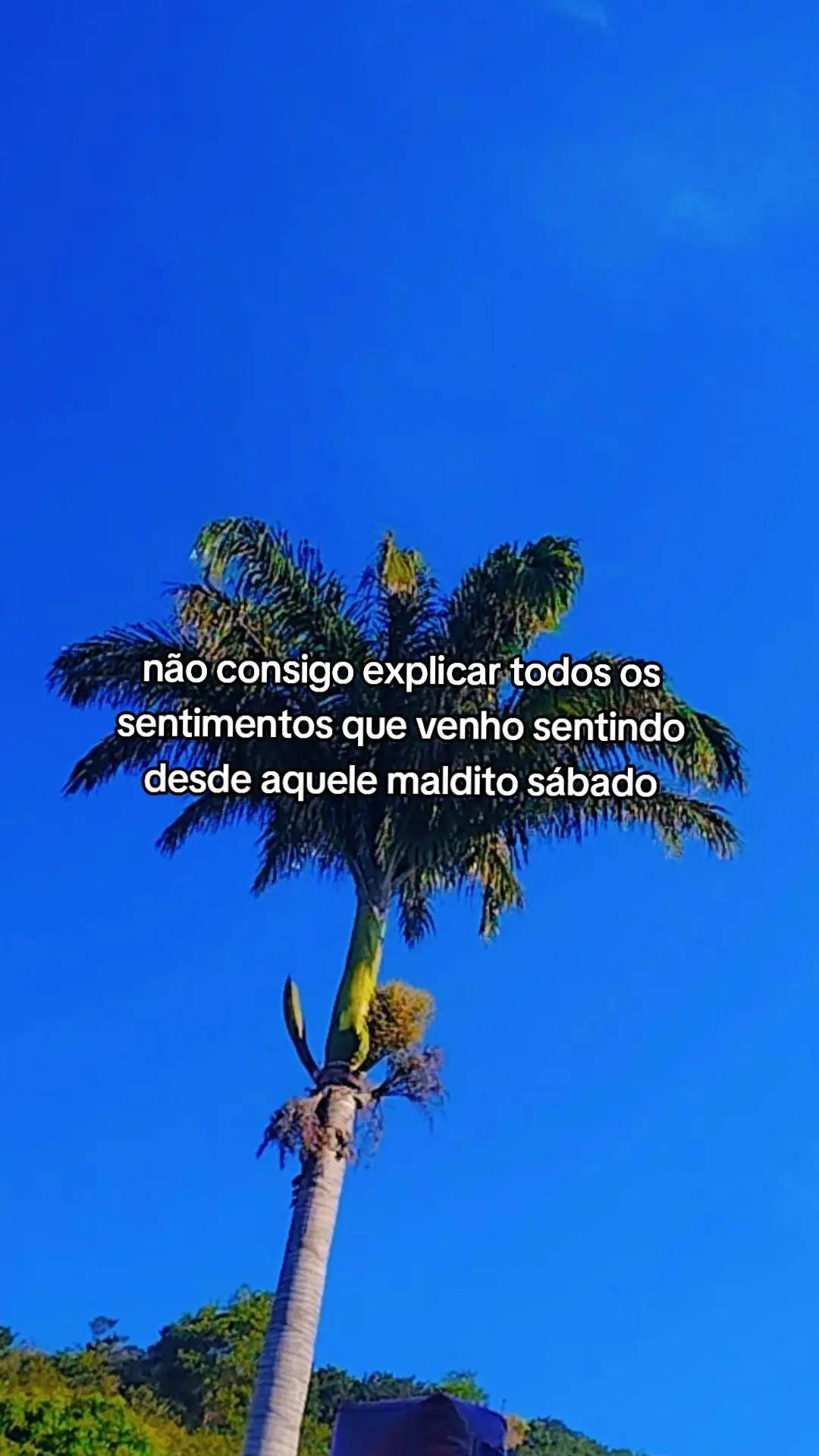 @Bê Rodrigues ๐๐ผโ๏ธ