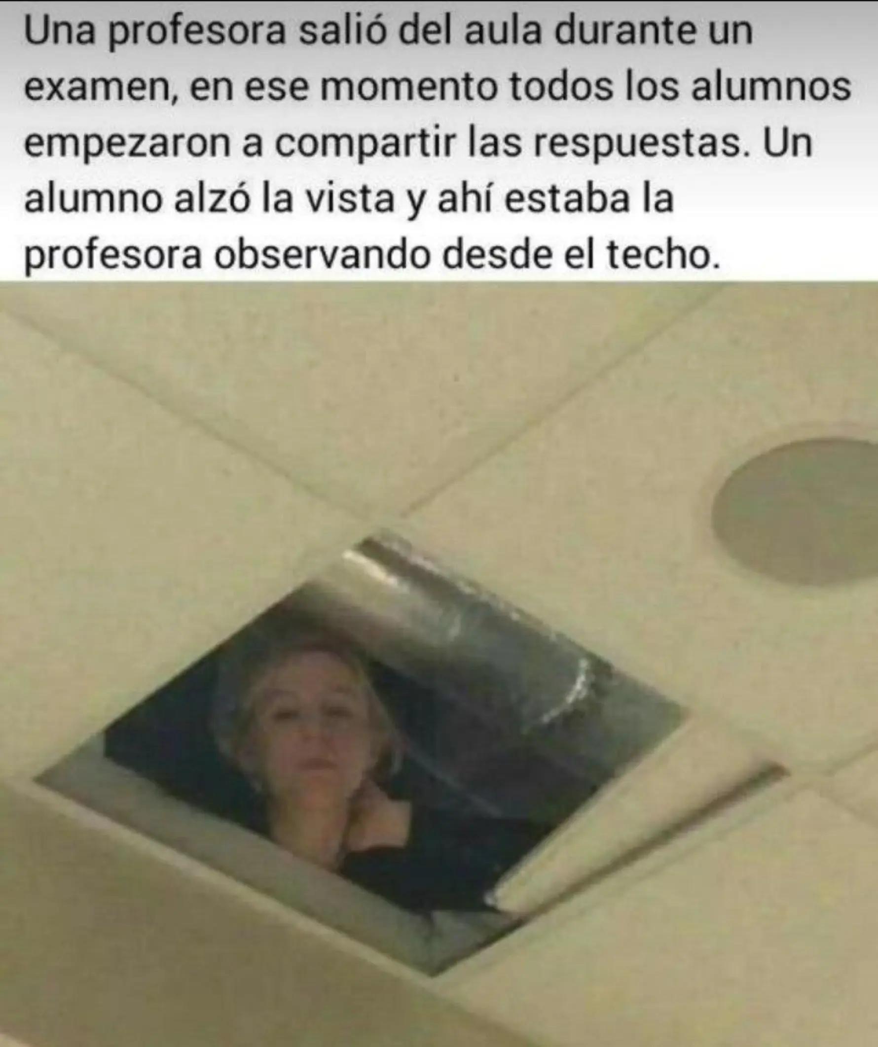 @meliodaz5252