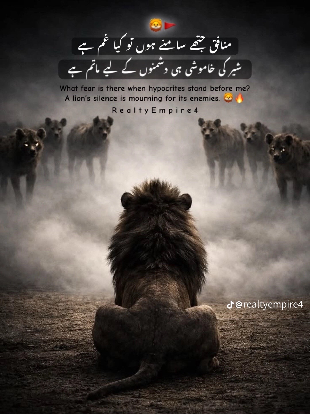 @علی حمزہ512