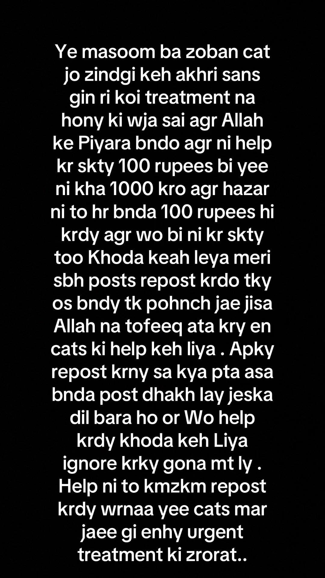 @mirha.donate.for.cat