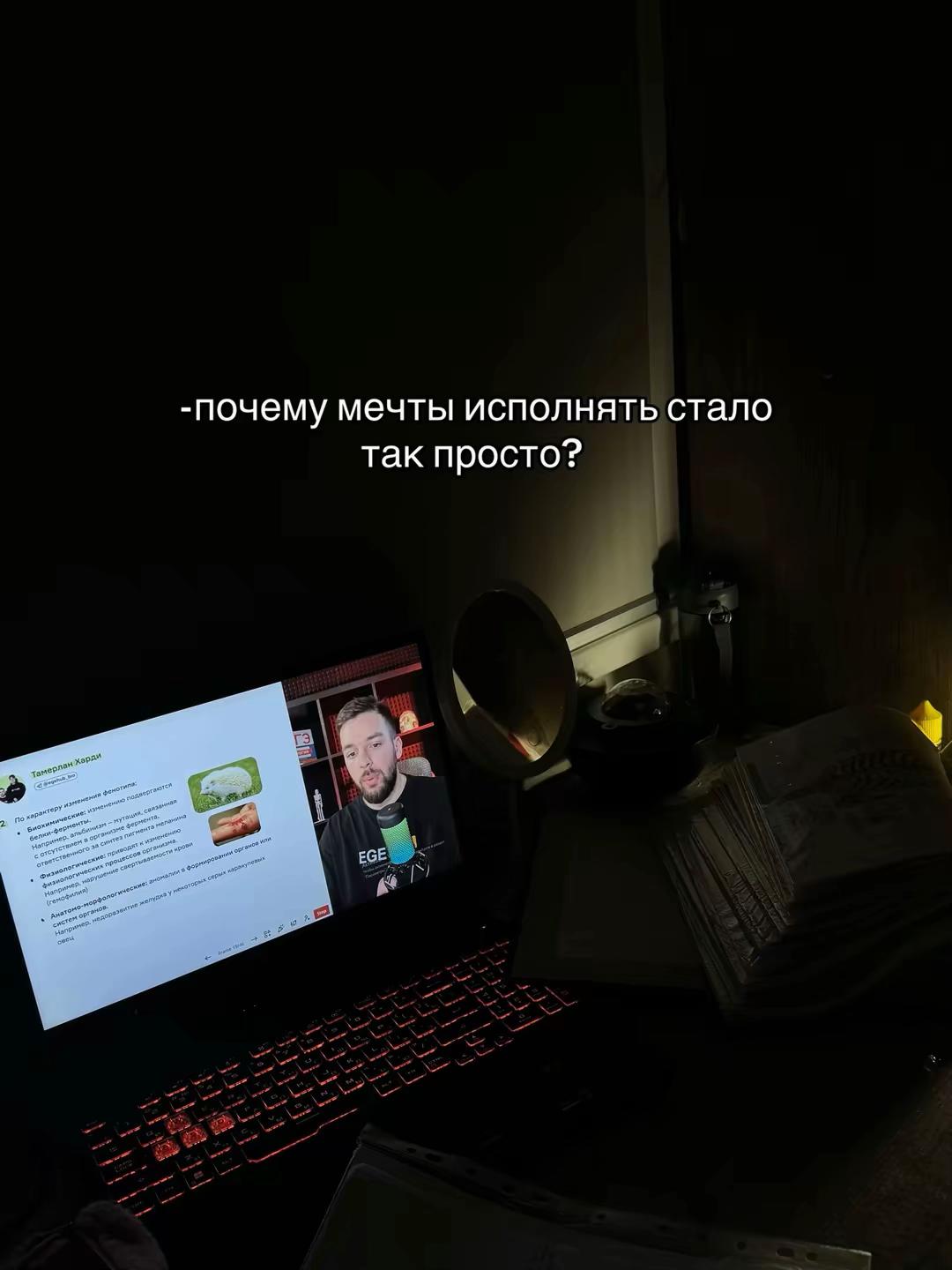 @yayga