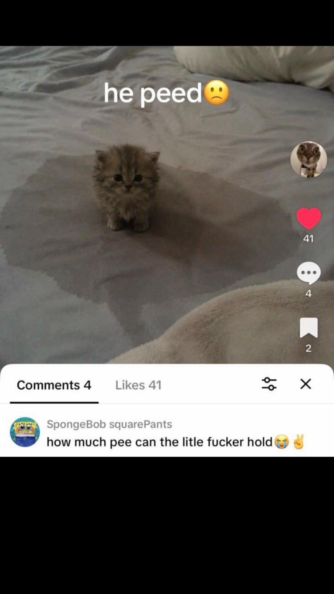 @Flexicutioner