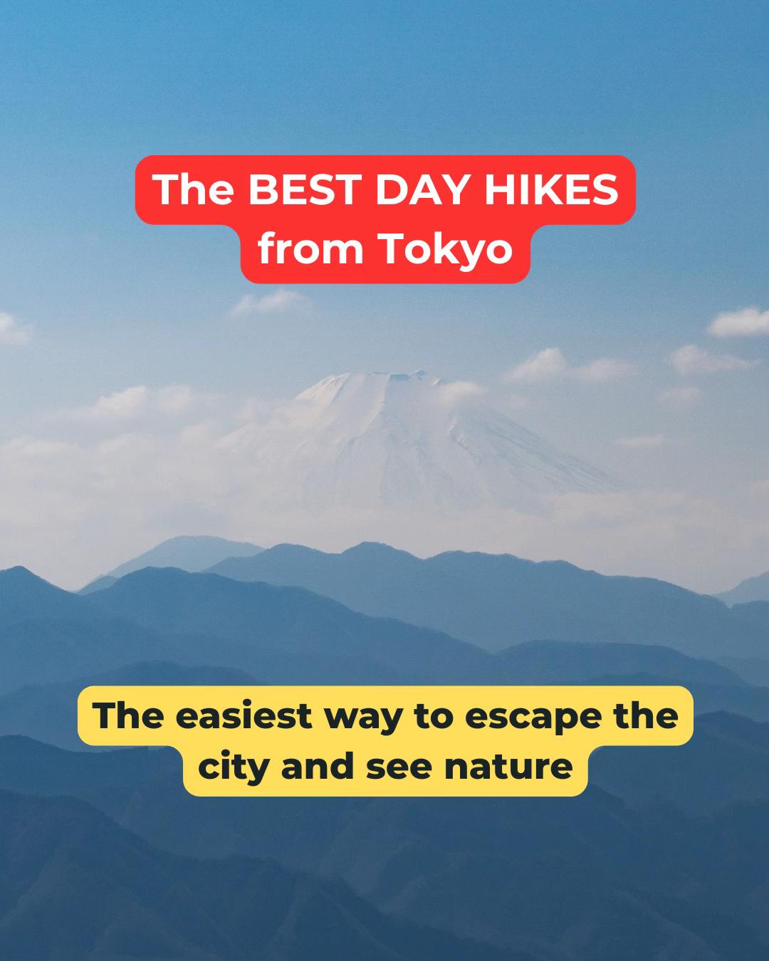 @thattravelguy