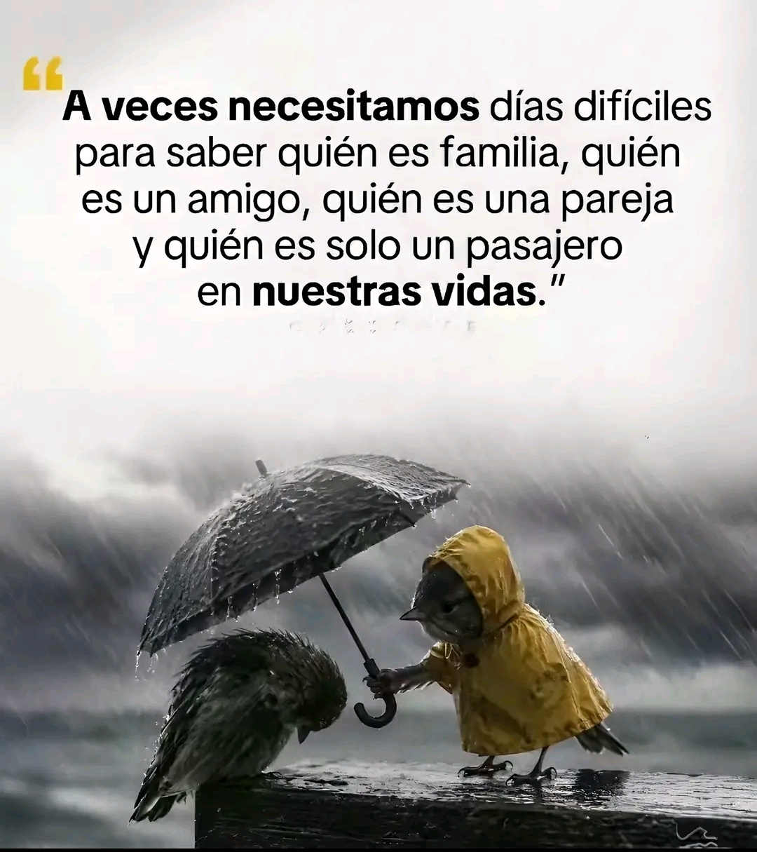 @MAURI73