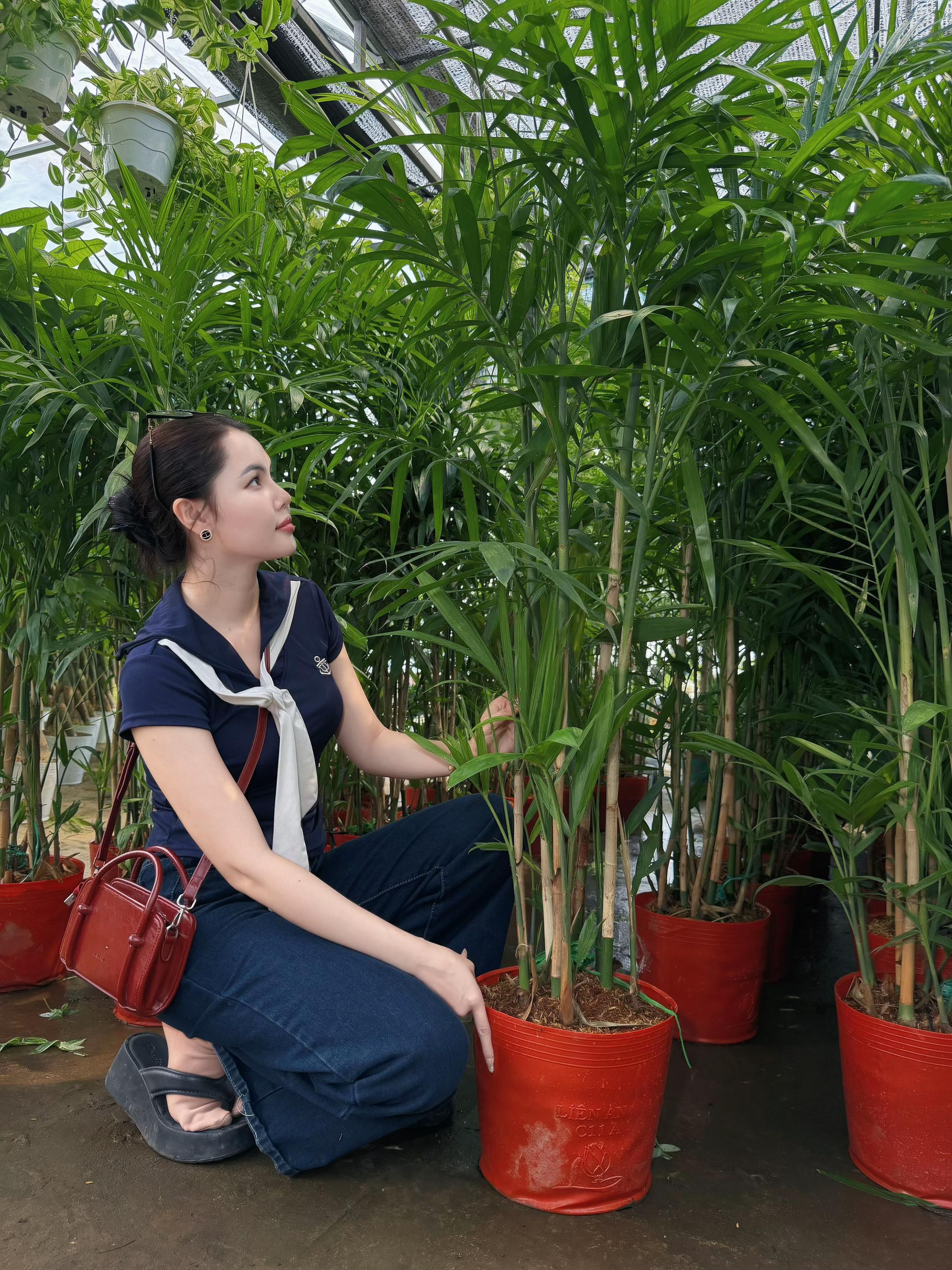 @Tiệm L&aacute; Nhỏ