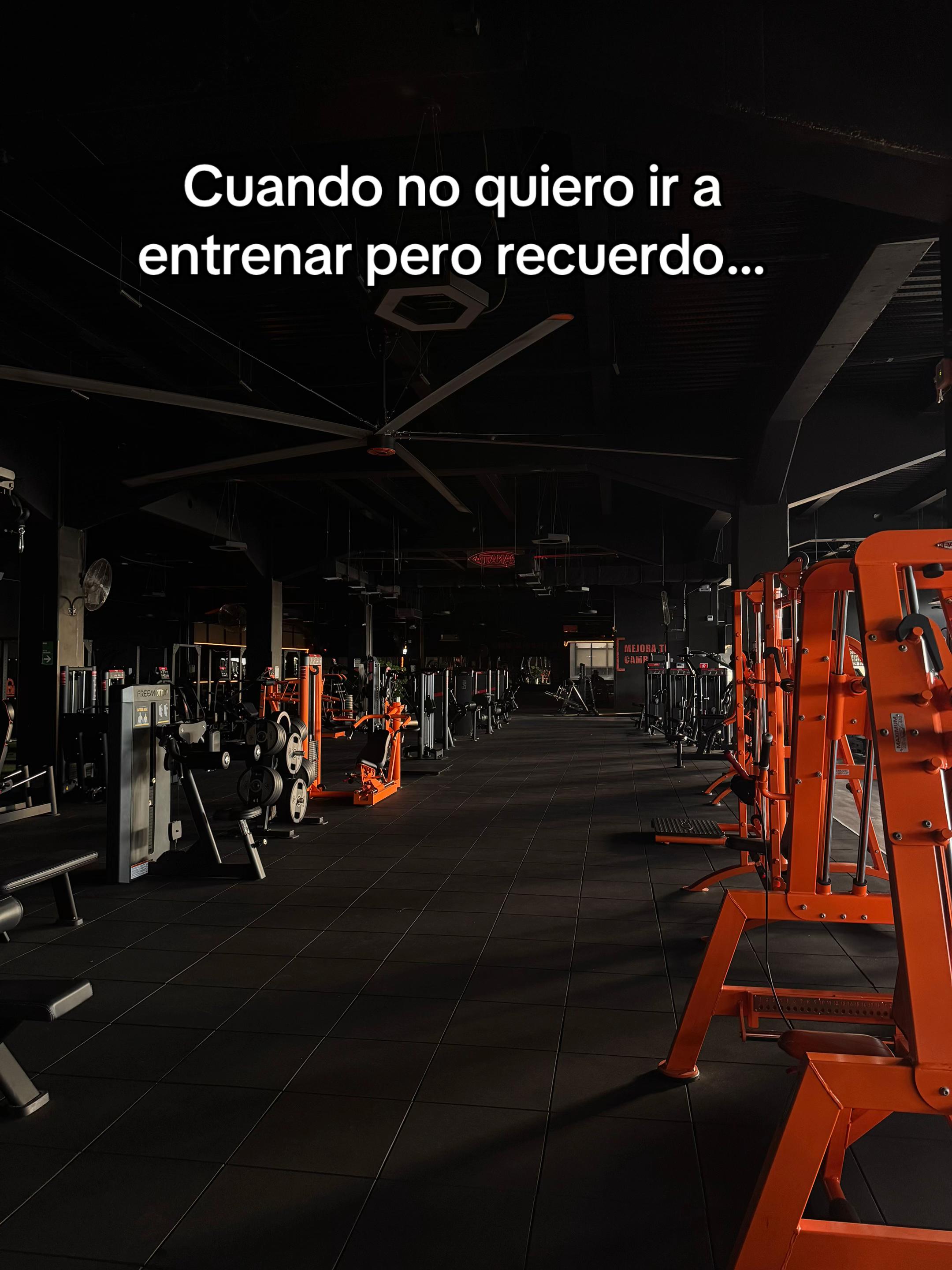 @jvvier