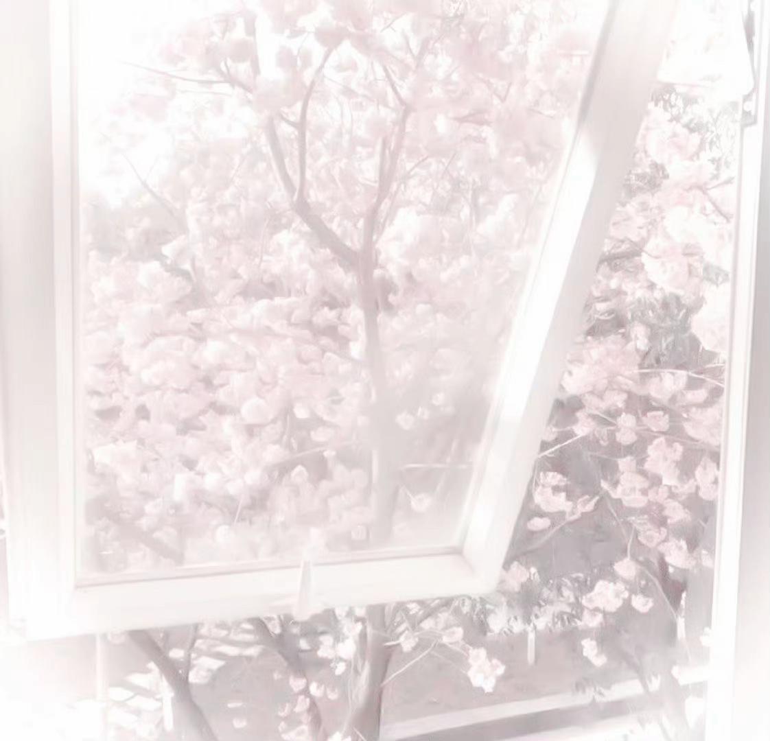 @۫ ׅ 𝒵 αι zαι ֹ.ྀི ꒱